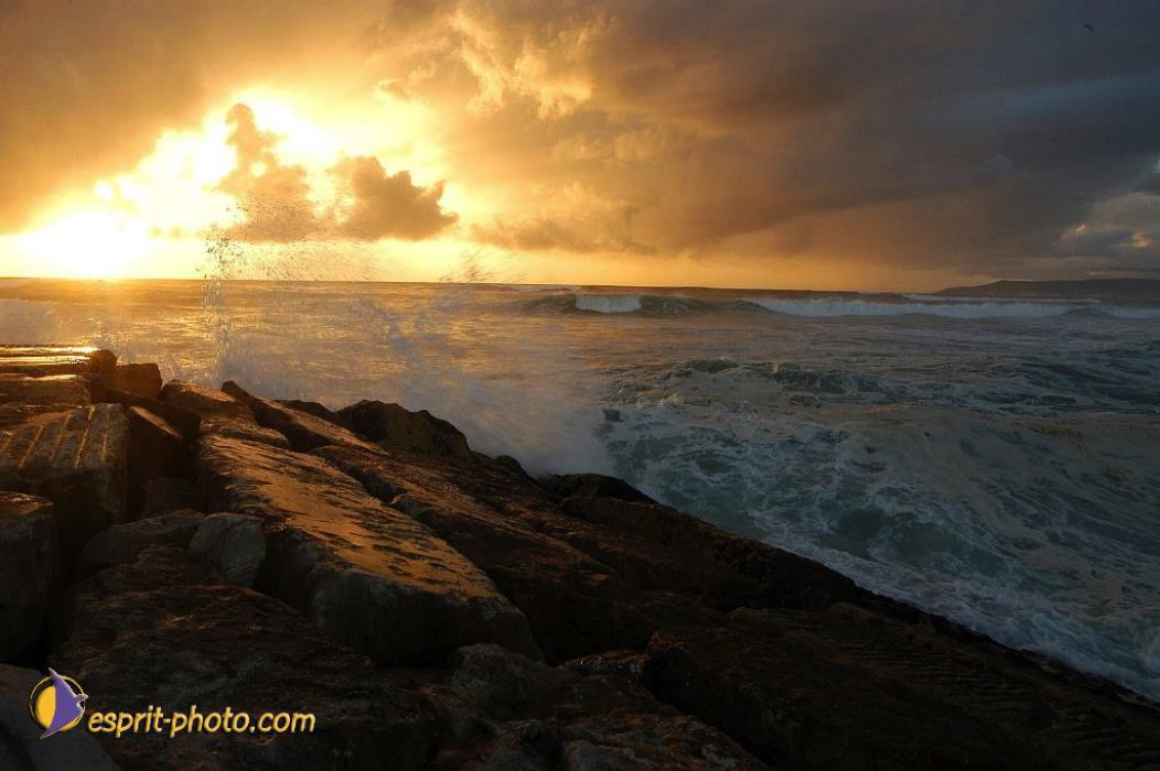 Nom de l'image : EP08-0343_(c)Norbert-JUNG — Description :